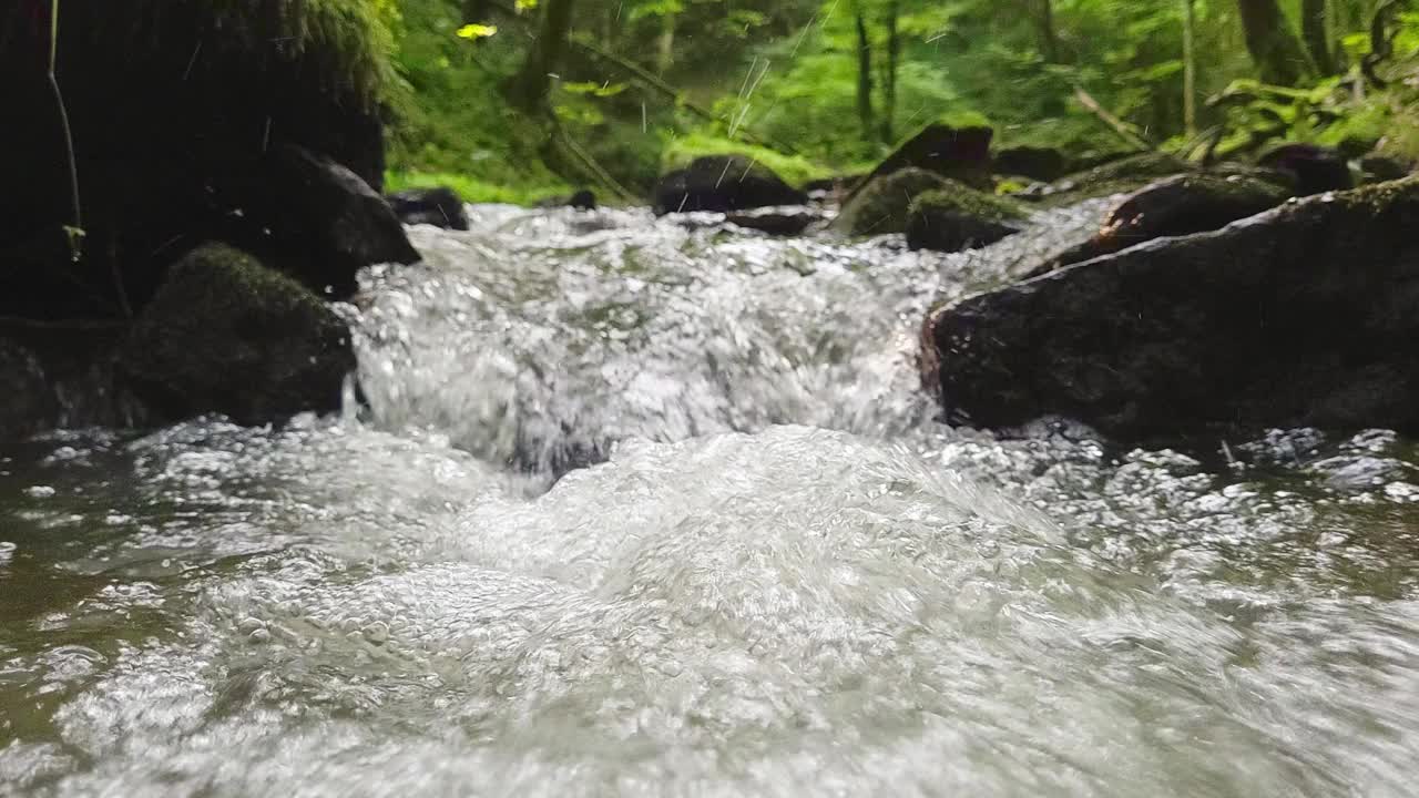 森林里的流水视频素材