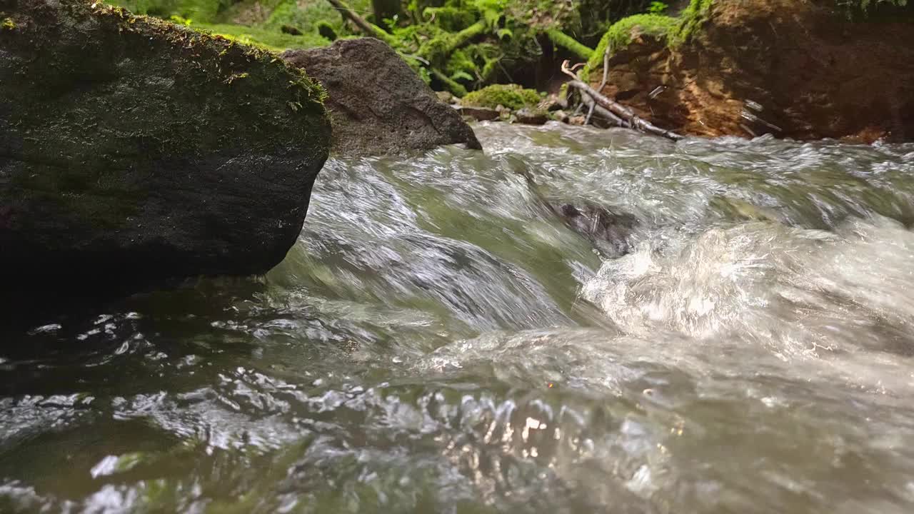 森林里的流水视频素材