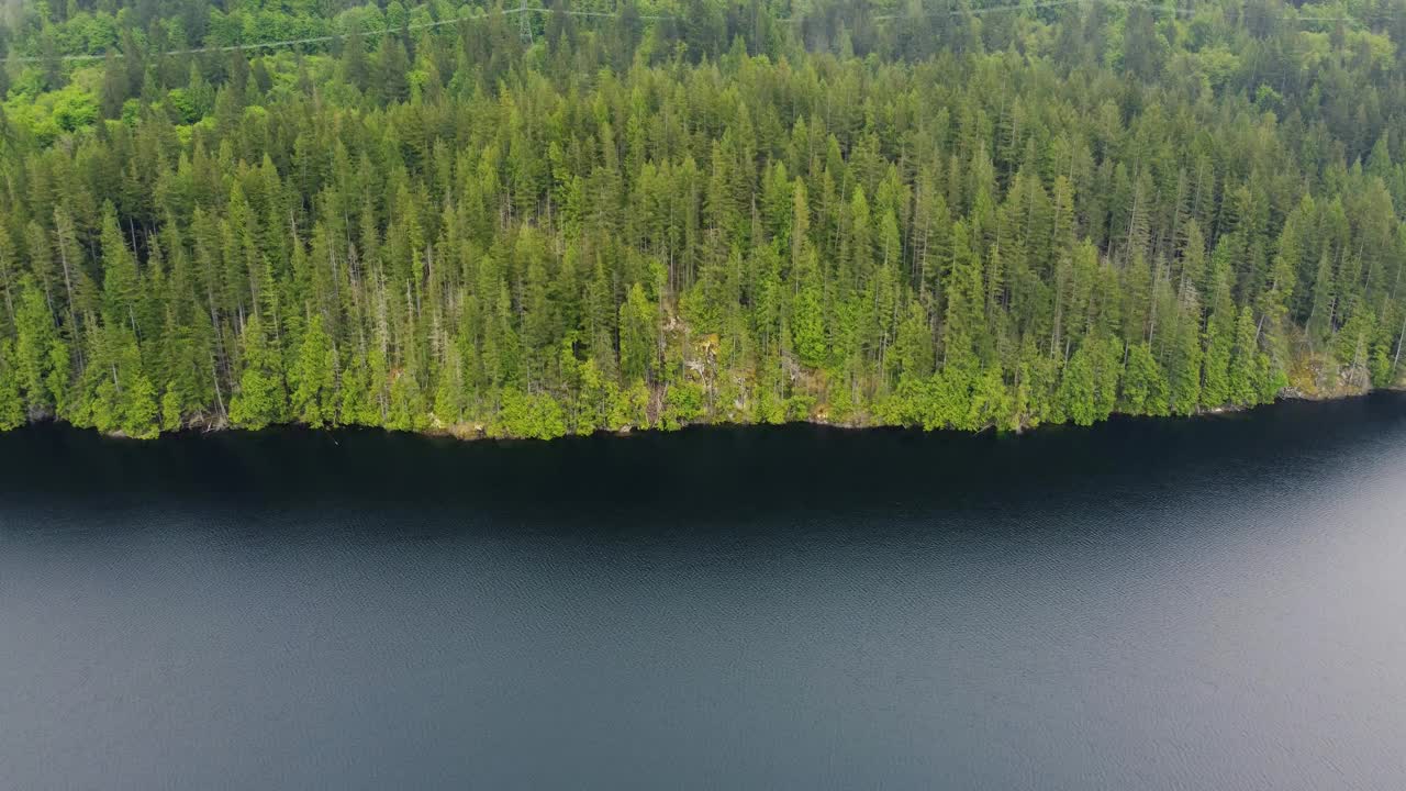 鸟瞰图绿色的森林和蓝色的湖泊反射的天空视频素材