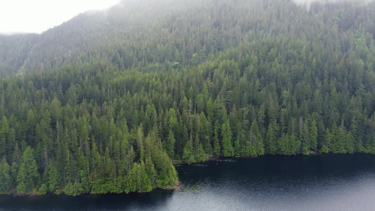 鸟瞰图的绿色云杉森林附近的湖在一个雨天视频素材