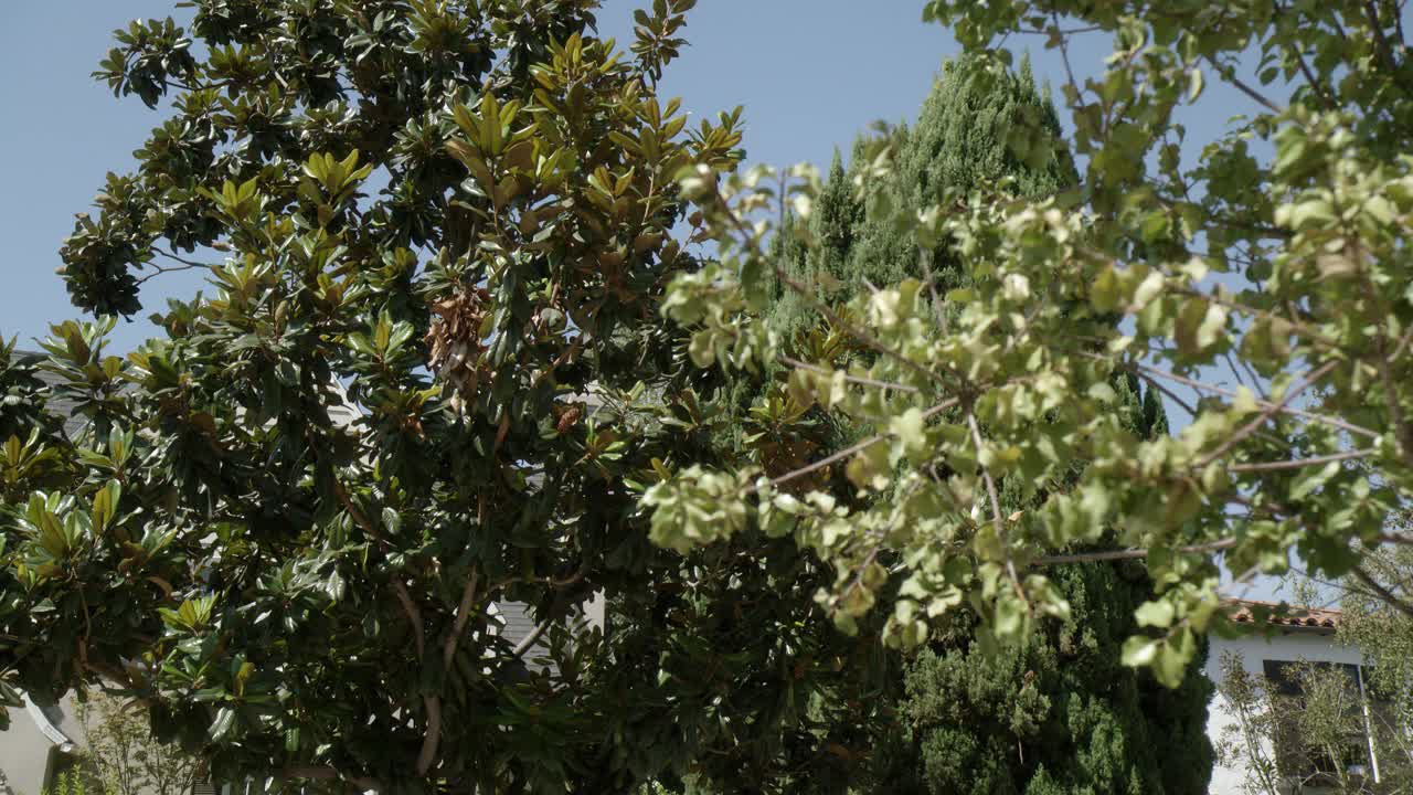 从树木向下平移到中等角度的多层上层或中产阶级住宅。可能是郊区，居民区，或者社区。前院或草坪可见。匹配dx / nx 4328-005至4328-009，以及4328-033至4328-086。视频素材