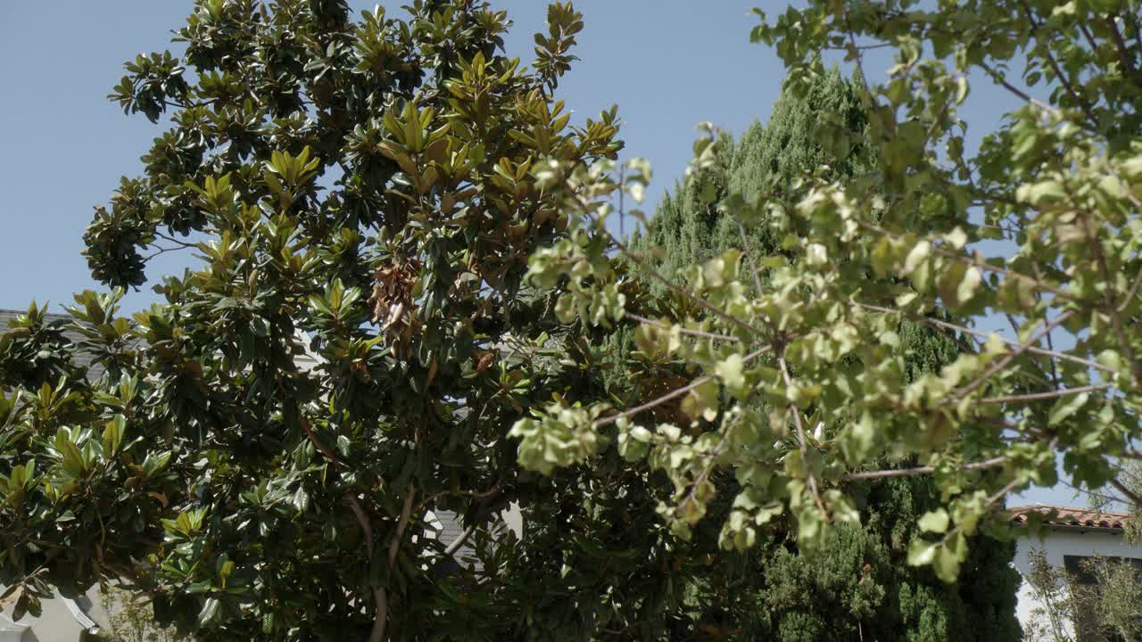 从树木向下平移到中等角度的多层上层或中产阶级住宅。可能是郊区，居民区，或者社区。前院或草坪可见。匹配dx / nx 4328-005至4328-009，以及4328-033至4328-086。视频素材