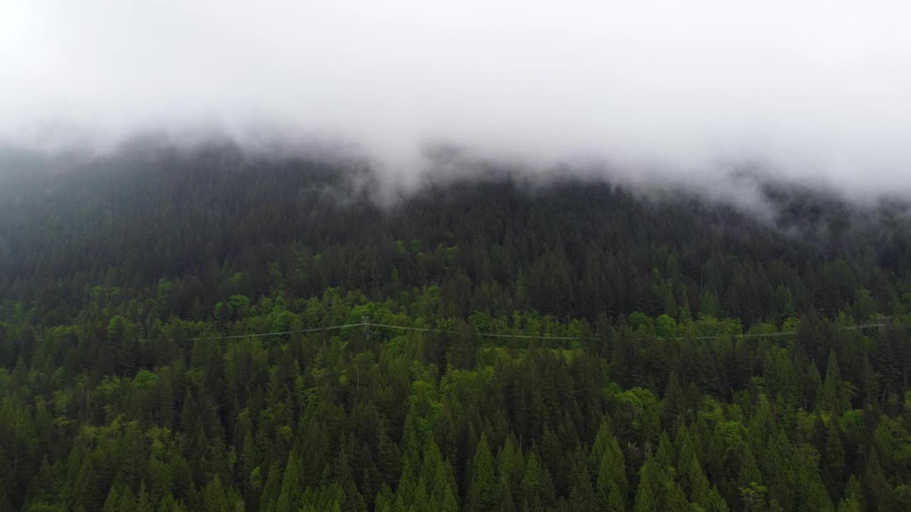 鸟瞰图的电线在山林中的绿色云杉森林视频素材
