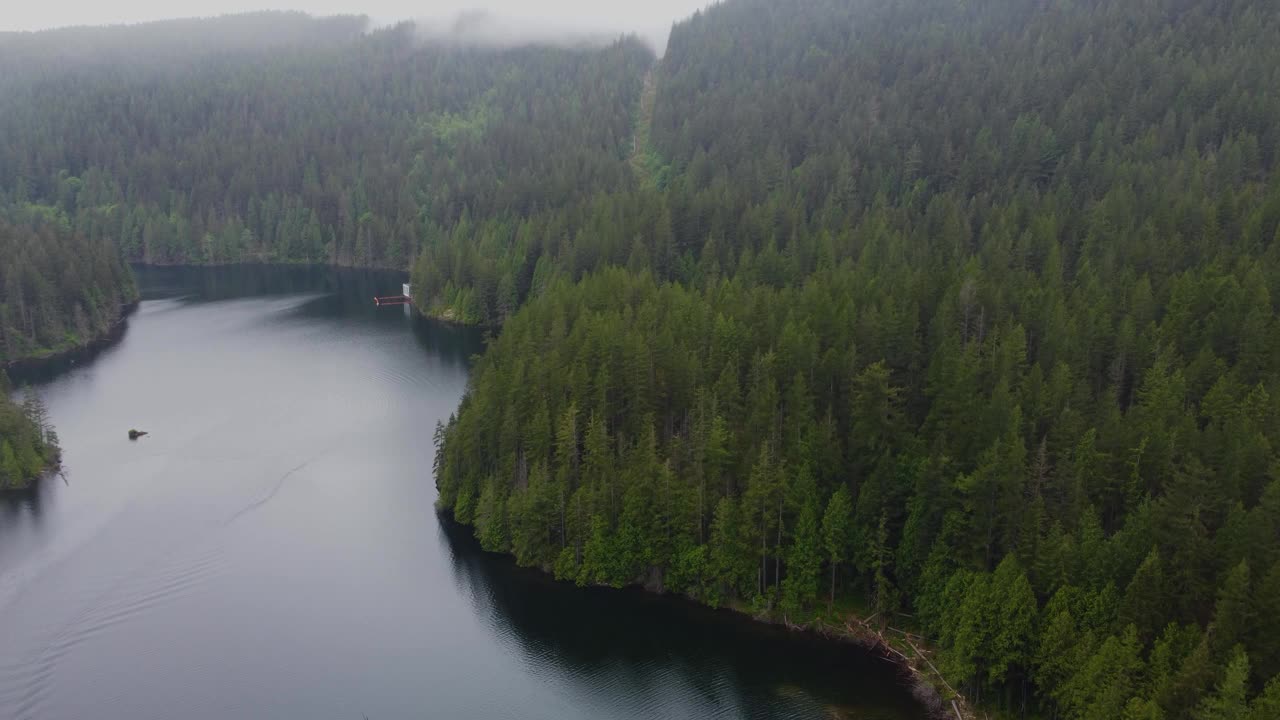 在加拿大一个阴天，飞越绿色云杉森林视频素材