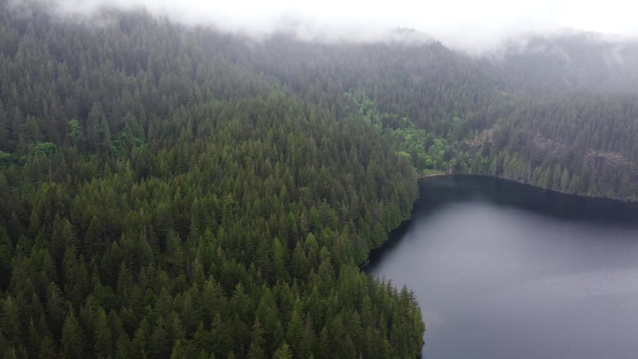 鸟瞰图的绿色森林小山覆盖着雾和湖在其中视频素材