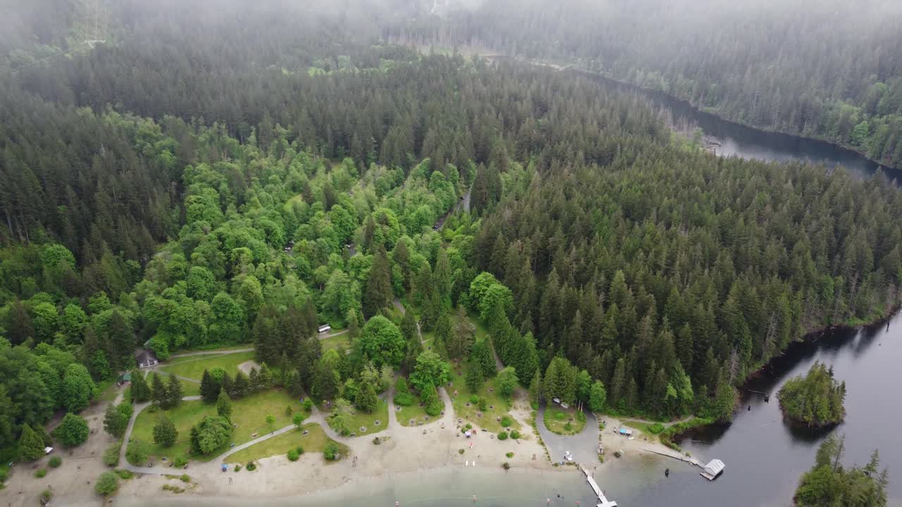 鸟瞰图的海滩上的湖包围绿色云杉森林在早晨视频素材