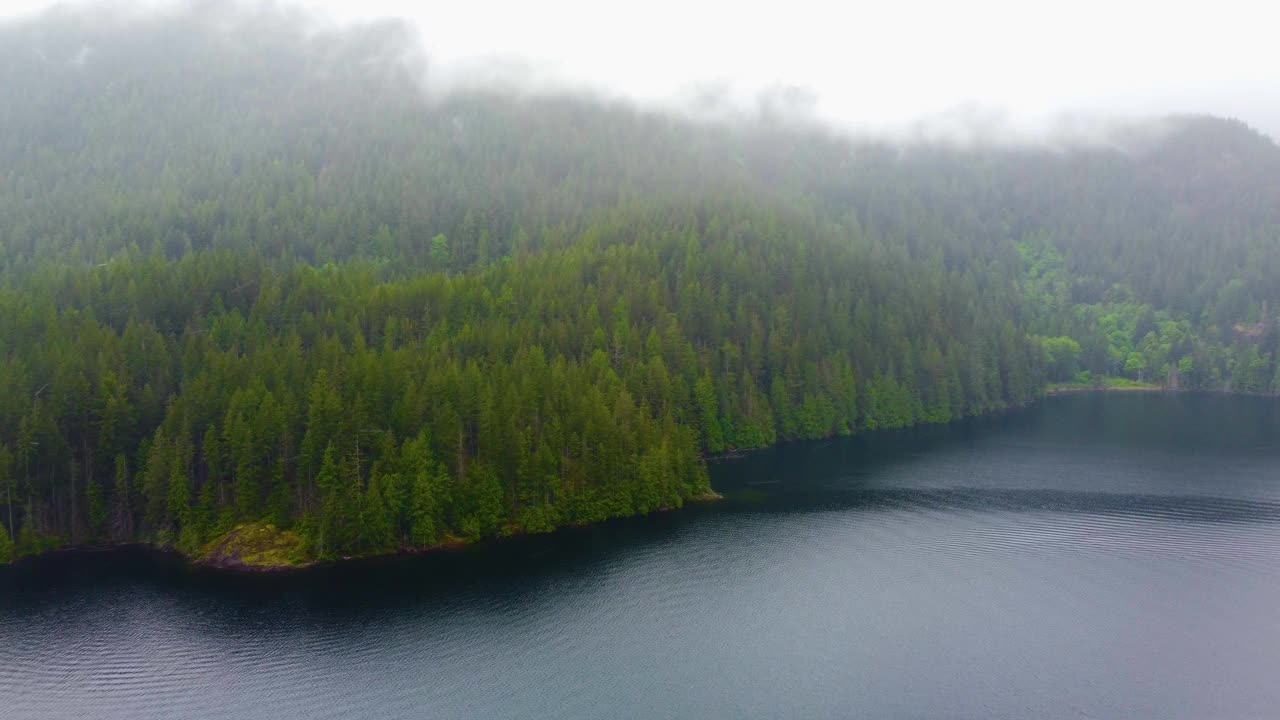 鸟瞰图绿色云杉森林附近的湖在一个雨天在加拿大视频素材
