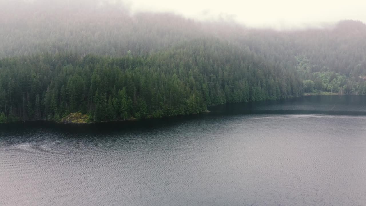 鸟瞰图平静的湖被绿色的小山和松树在雨天视频素材