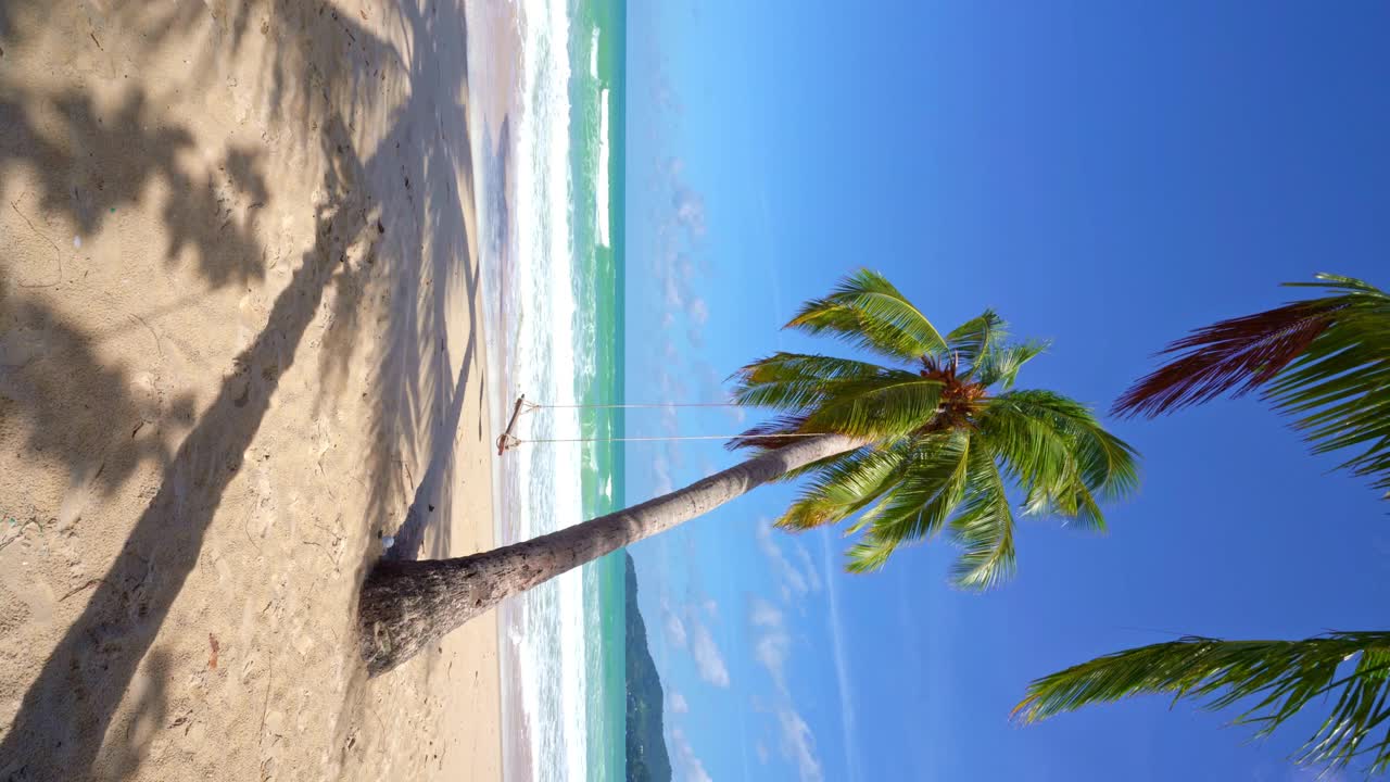 阳光明媚的夏日大海，美丽的热带海滩巴东海滩风景，美丽的泰国普吉岛，椰子树海浪拍打沙滩，令人惊叹的旅游和旅游背景视频素材