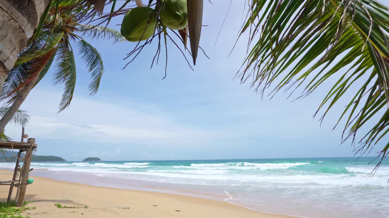 阳光明媚的夏日大海，美丽的热带海滩巴东海滩风景，美丽的泰国普吉岛，椰子树海浪拍打沙滩，令人惊叹的旅游和旅游背景视频素材