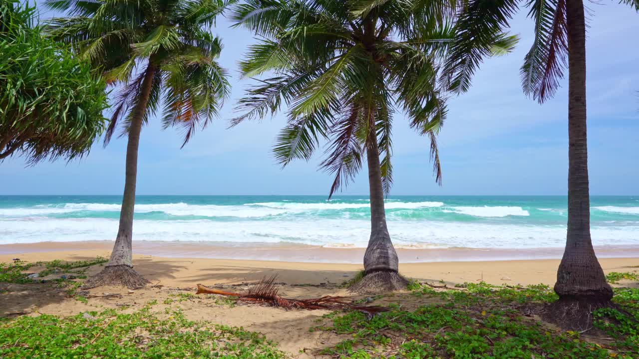 阳光明媚的夏日大海，美丽的热带海滩巴东海滩风景，美丽的泰国普吉岛，椰子树海浪拍打沙滩，令人惊叹的旅游和旅游背景视频素材