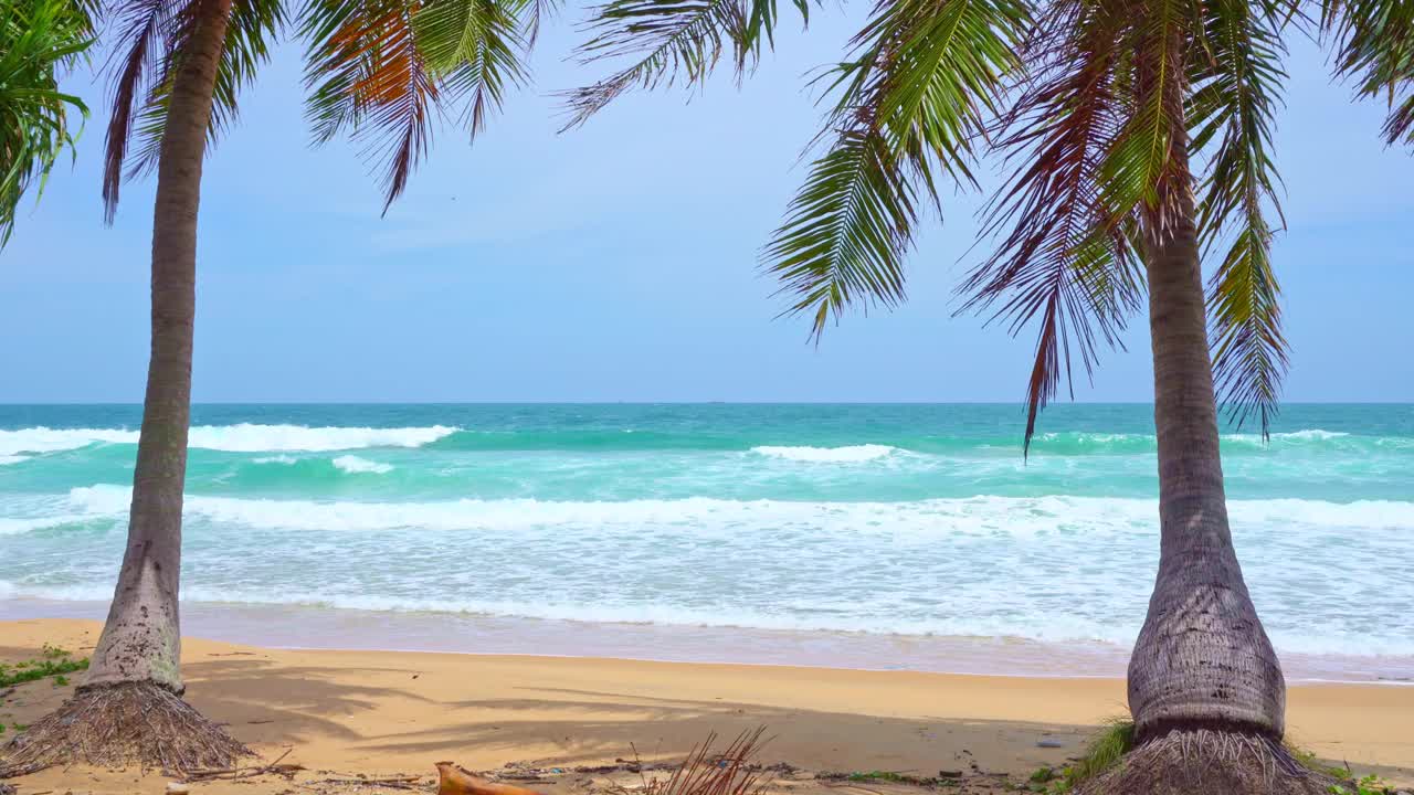 阳光明媚的夏日大海，美丽的热带海滩巴东海滩风景，美丽的泰国普吉岛，椰子树海浪拍打沙滩，令人惊叹的旅游和旅游背景视频素材