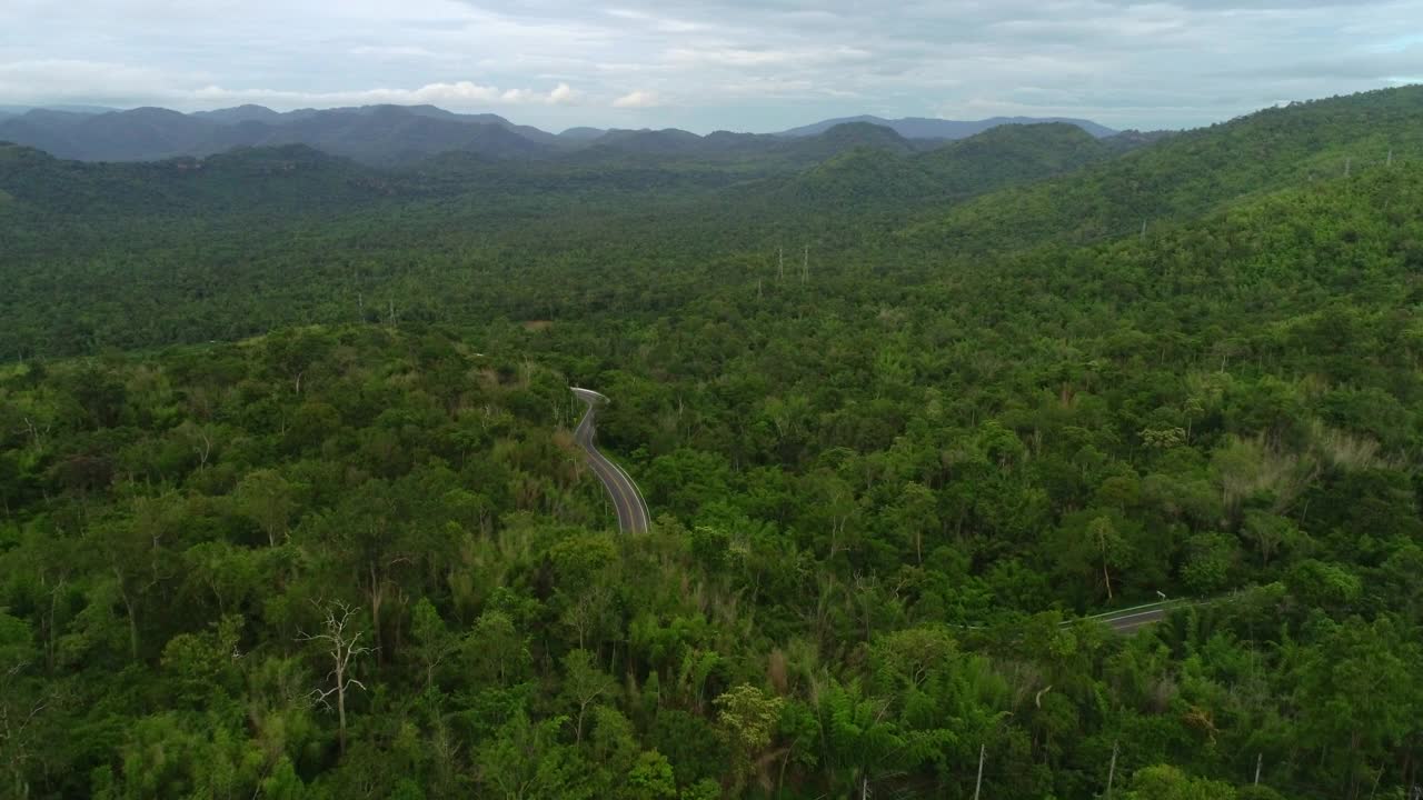 公路在翠绿的山林中鸟瞰视频素材