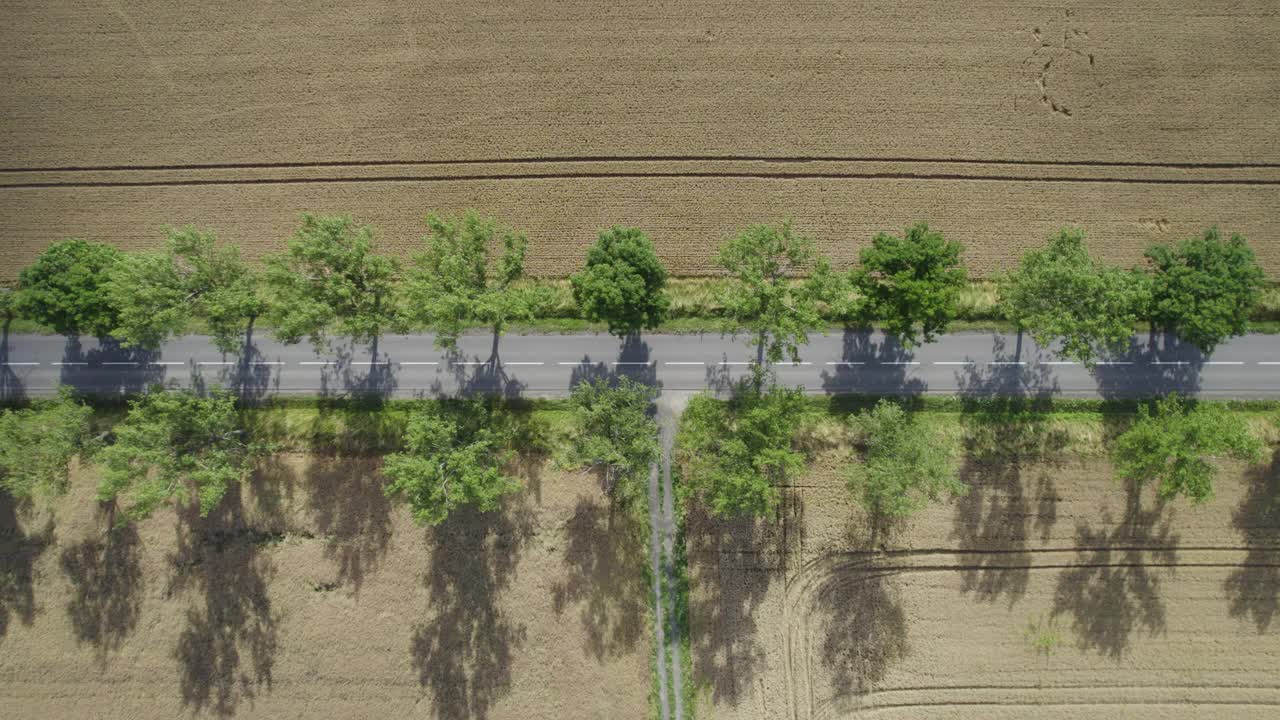 乡村景观中的乡村道路(空中)视频素材