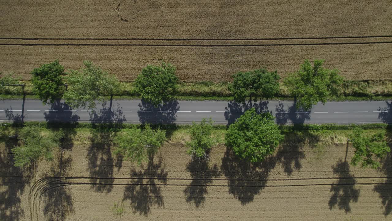 乡村景观中的乡村道路(空中、环形)视频素材