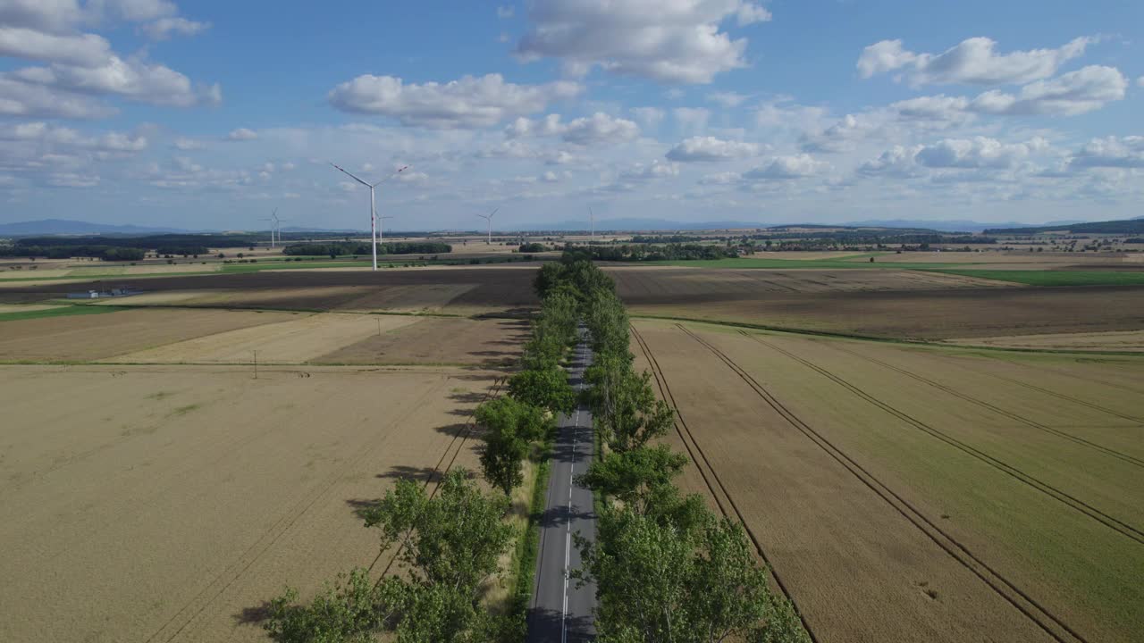 乡村景观中的乡村道路(空中)视频素材