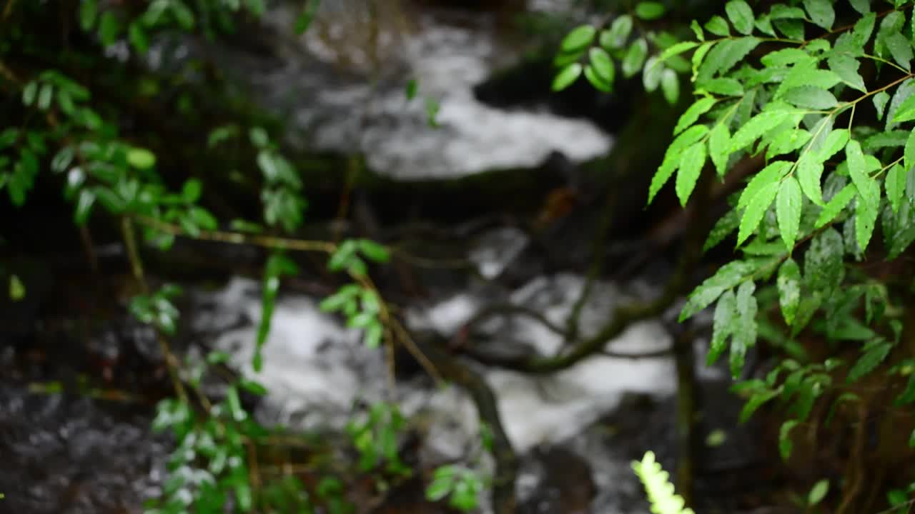 水流视频素材