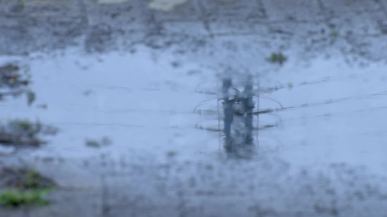 日本东京，小雨中的水坑视频素材