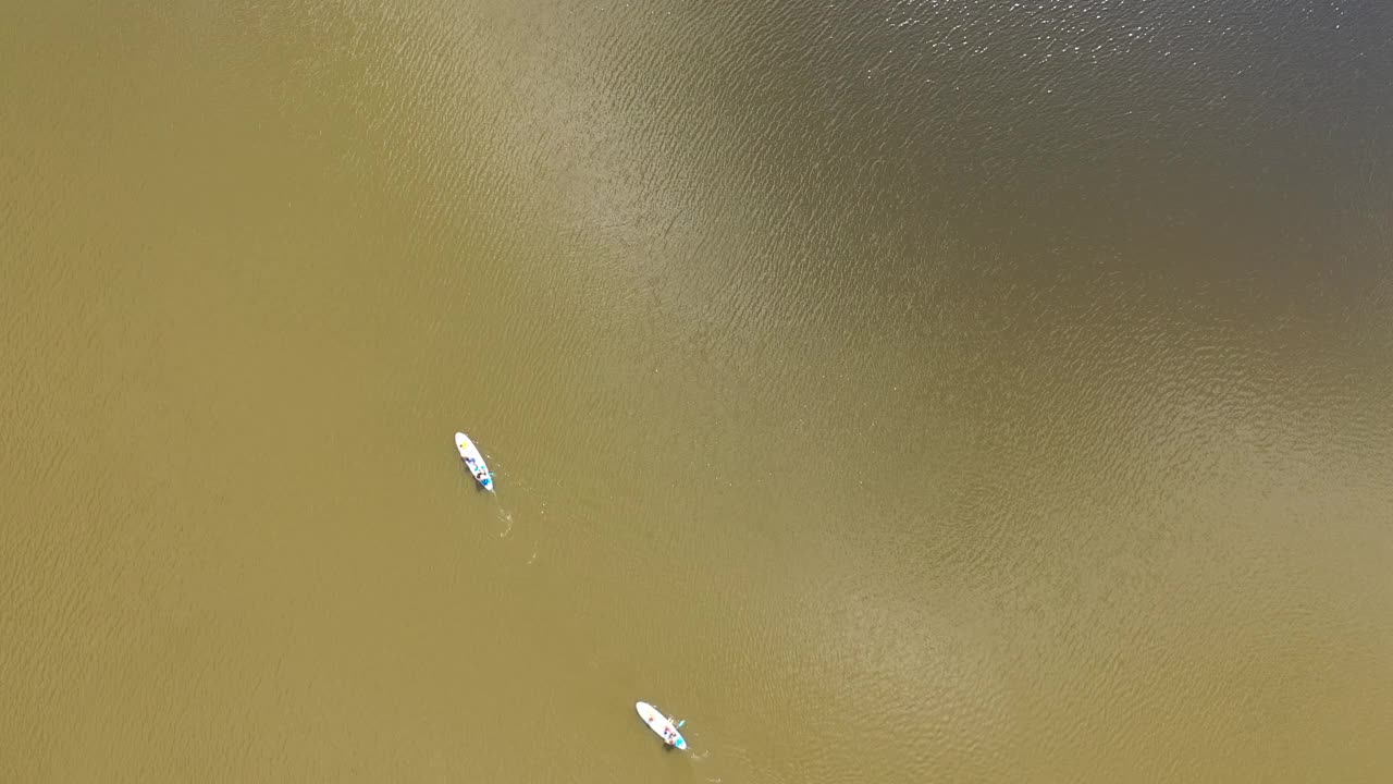 游泳，立板，湖，二，立板漂浮在阳光明媚的湖面上。两个glanders在水面上与反射云..视频素材