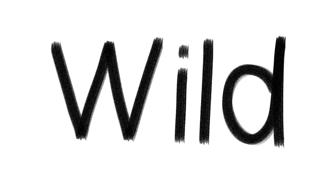 手绘动画wiggle word Wild。炭结构的文本。视频素材