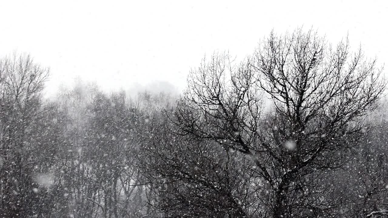 公园上空有暴风雪视频下载