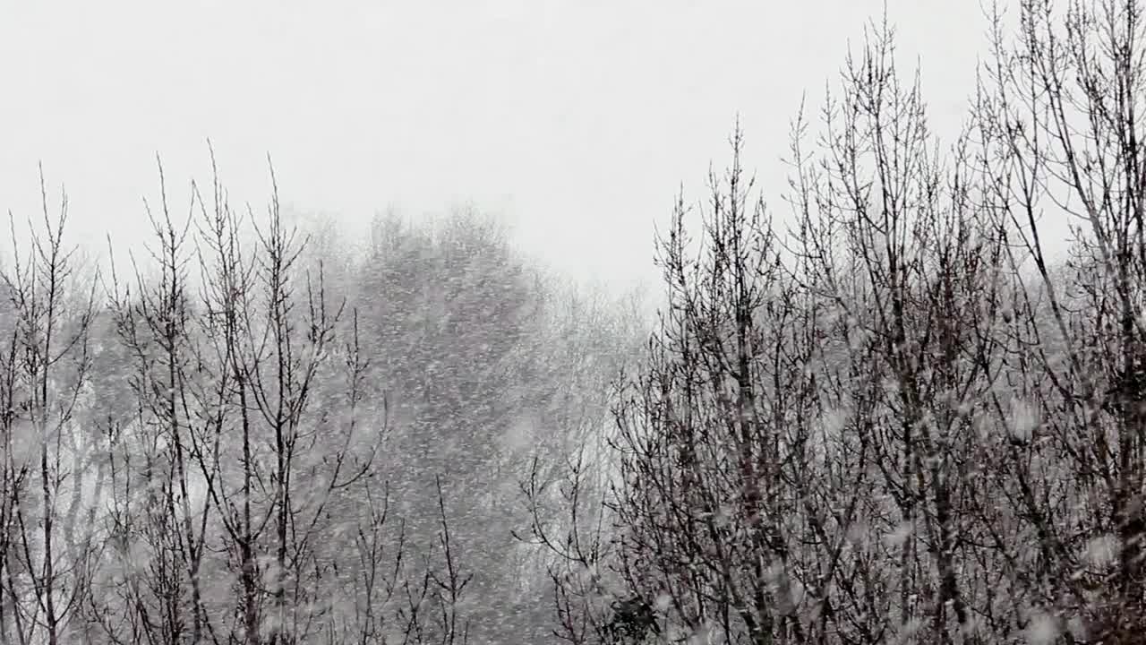 公园上空有暴风雪视频下载