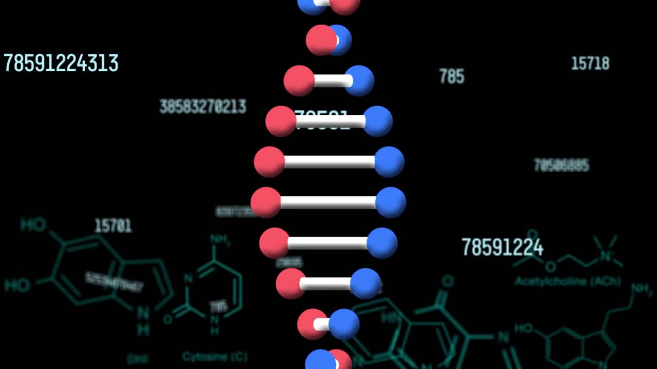 数据处理动画，dna链在化合物上旋转视频素材