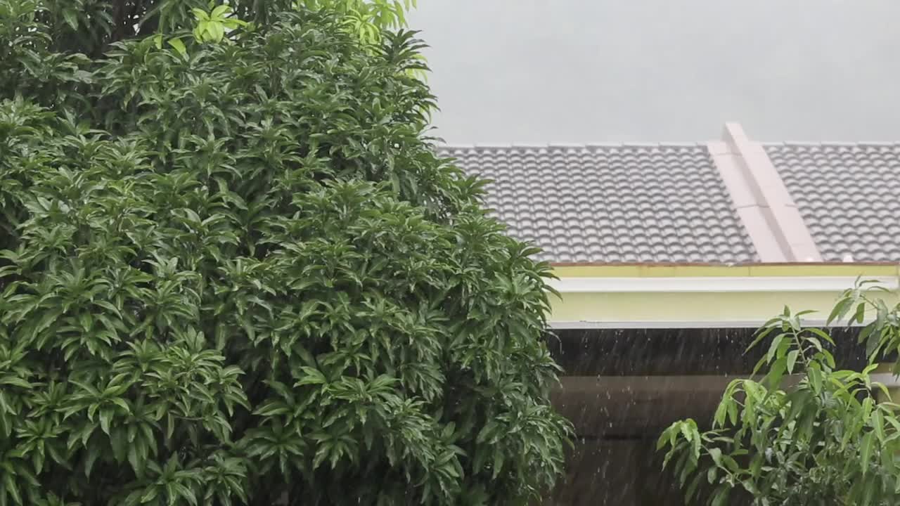 早上下雨了视频素材