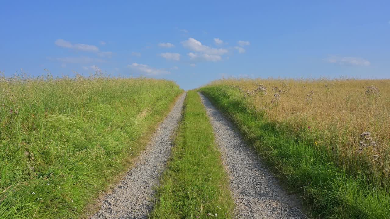 在夏天，土路与田地相连视频素材