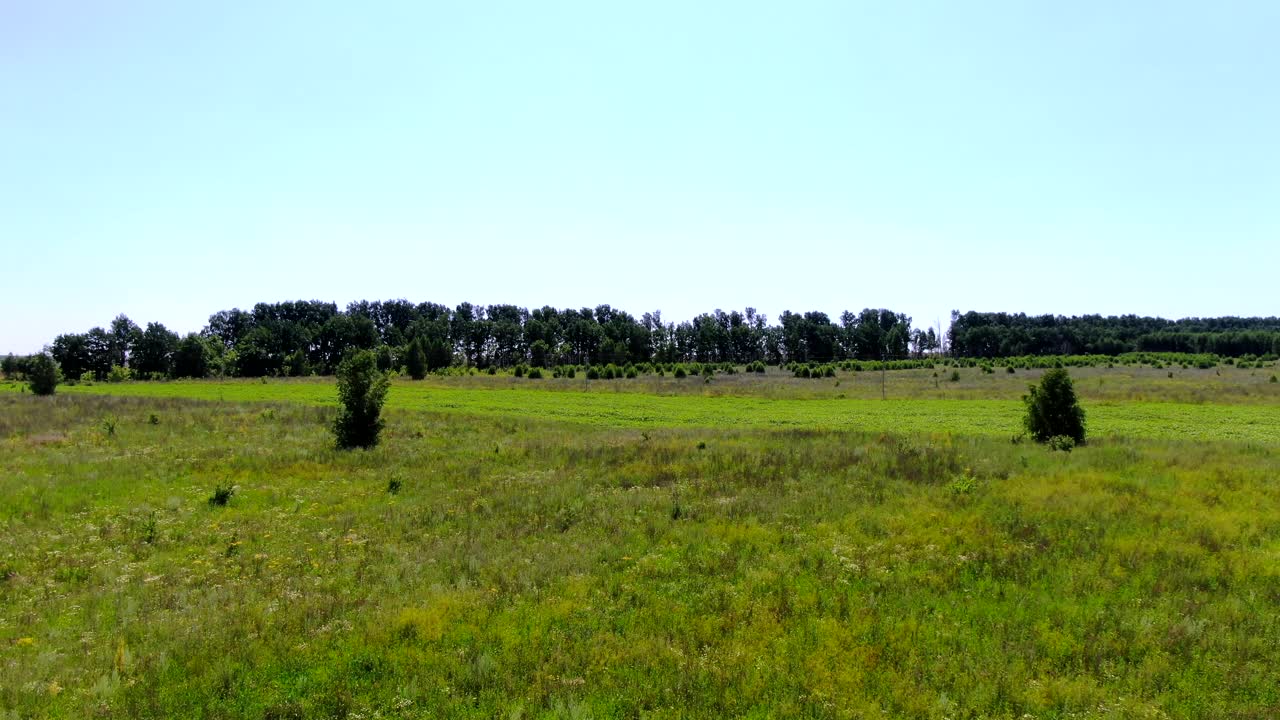 在一个阳光明媚的夏日，飞过绿色的落叶林，风景如画。森林附近的农田。视频素材