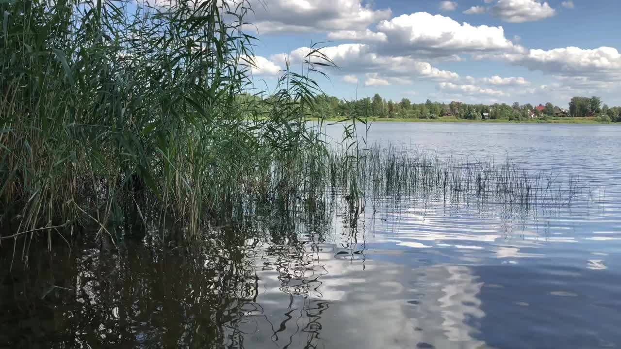 平静的河岸视频素材