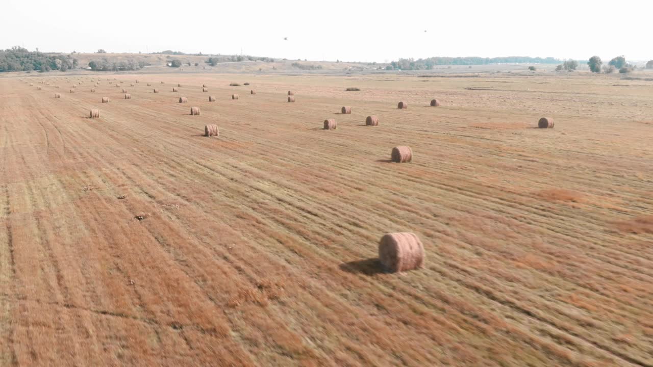 场的干草堆。坡地上的干草堆。收获在农村。在农田上卷干草。农业的概念视频素材