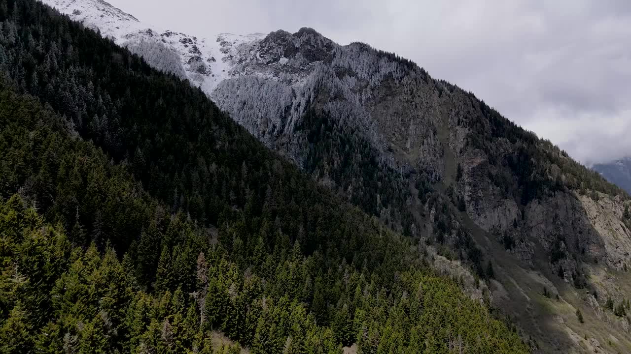 雪山和森林视频素材