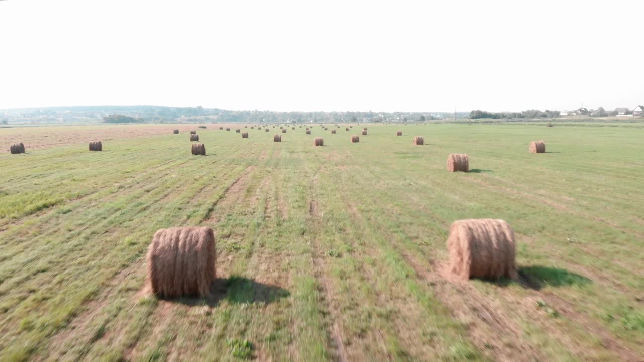 夏天的田野和干草堆。在收获的绿色田野上卷成的干草。农村自然景观。农田在农村视频素材