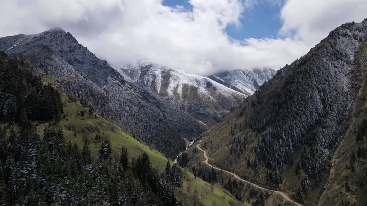 雪山和森林视频素材