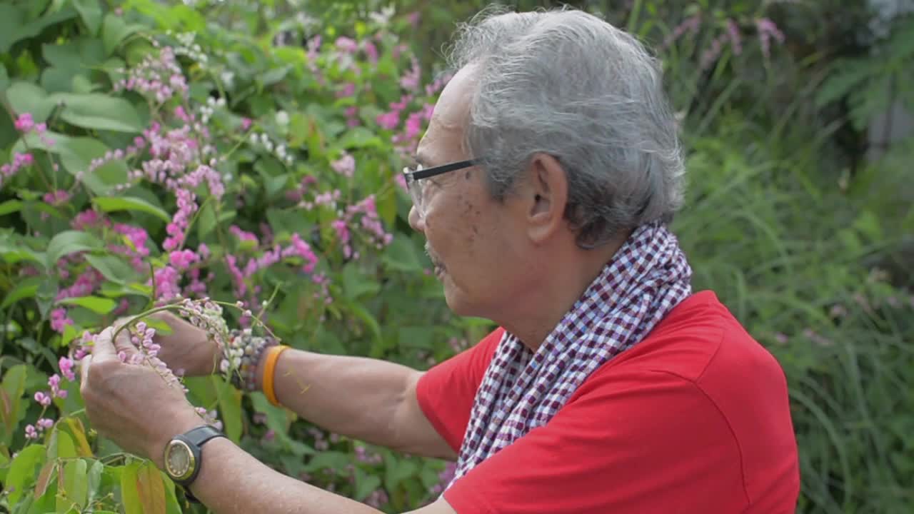 白发苍苍的老人退休了，他在花园里照看着花，可爱的孙女从后面走过来拥抱他。维系两代人的亲情。视频素材