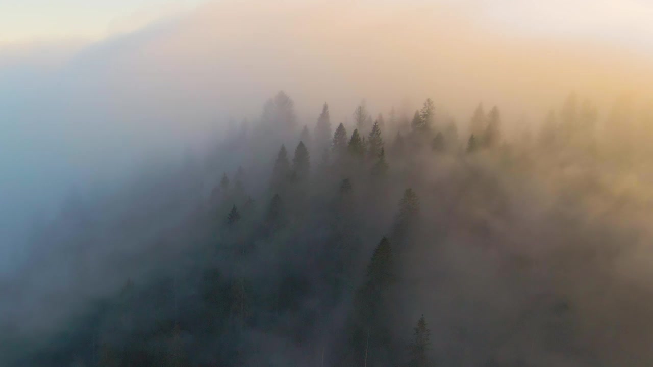 鸟瞰图的色彩丰富的景观，在雾蒙蒙的森林与松树覆盖的山在日落。视频素材