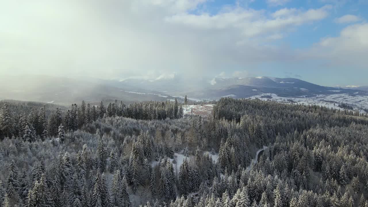 空中冬季景观与云杉树的雪覆盖森林在寒冷的山。视频素材