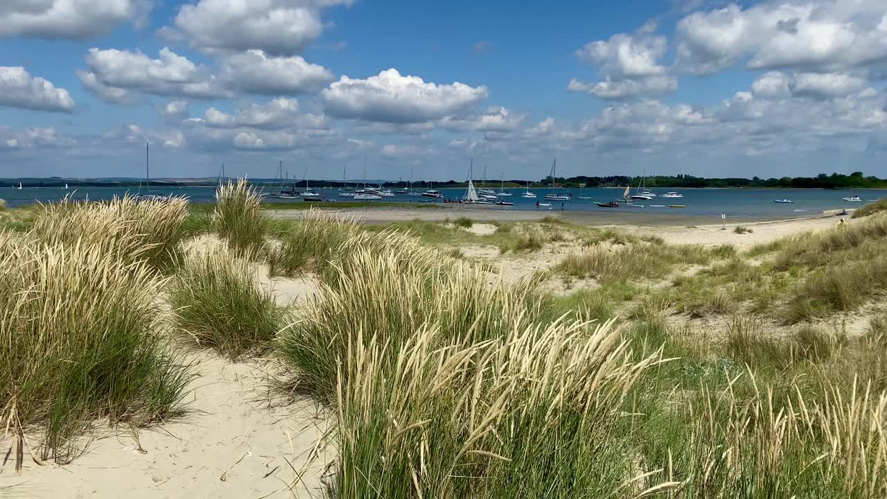 奇切斯特西威特林海滩的风景，前景是欧洲的玛兰草。视频素材