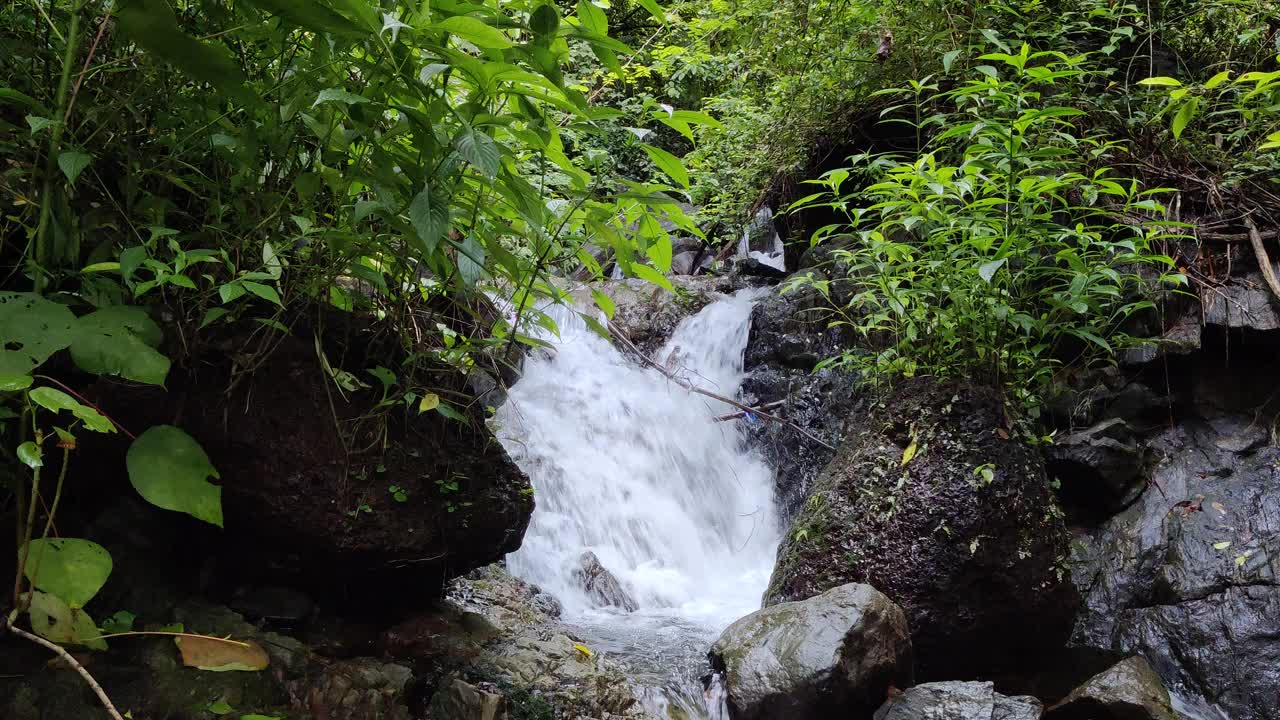 从世界著名的旅游目的地喀拉拉邦印度的时间推移的视图，水在野生的小溪视频素材