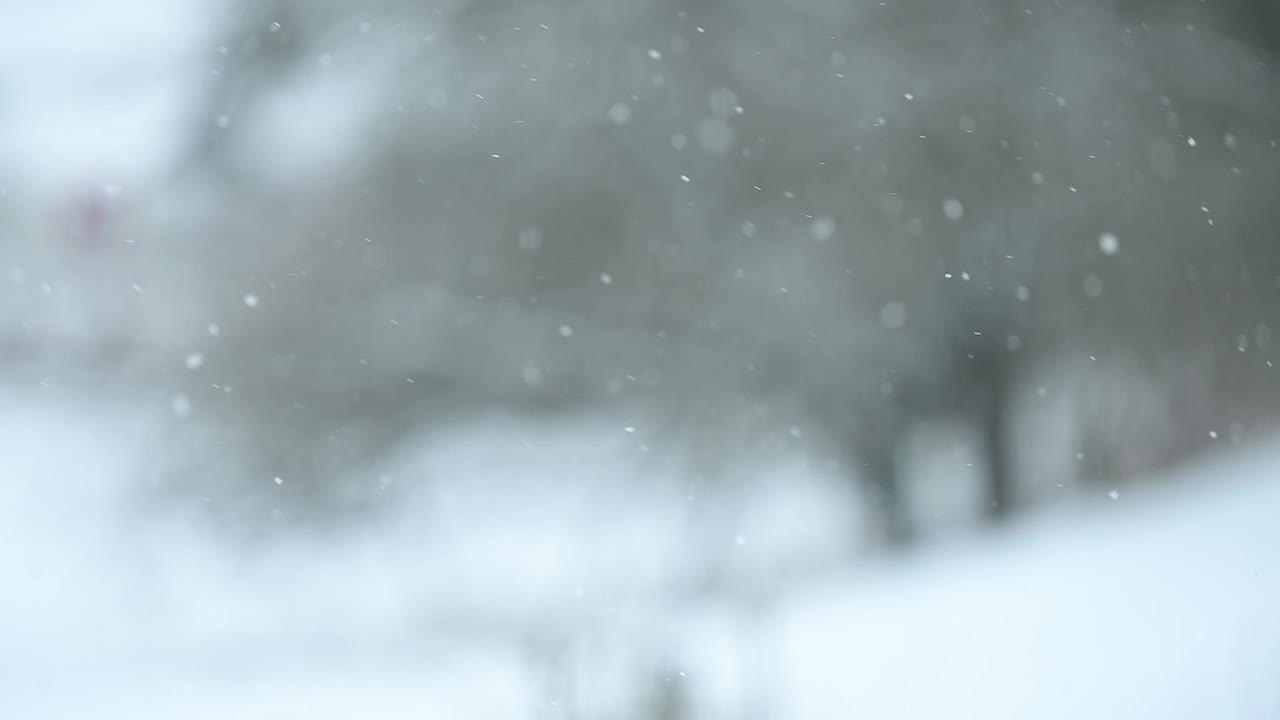 冬天和它的自然现象，雪缓慢移动，白天下雪，从窗口看，美丽如画的雪花景色。视频素材