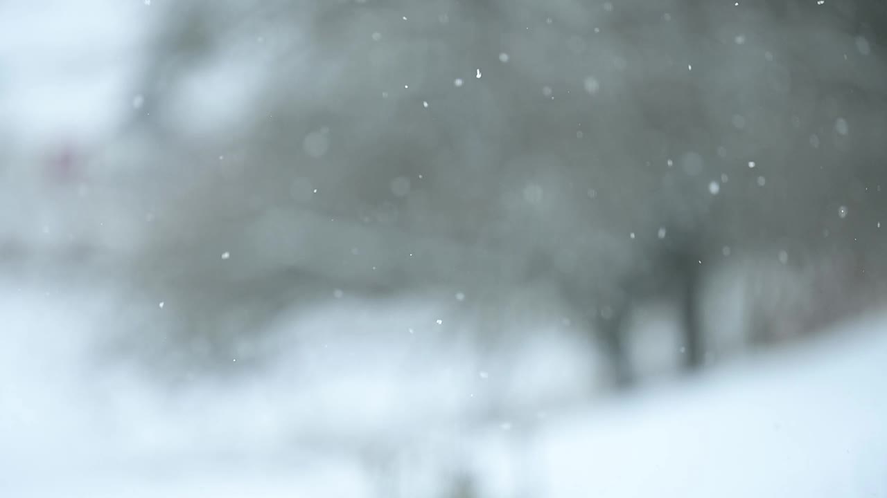 冬天和它的自然现象，雪缓慢移动，白天下雪，从窗口看，美丽如画的雪花景色。视频素材