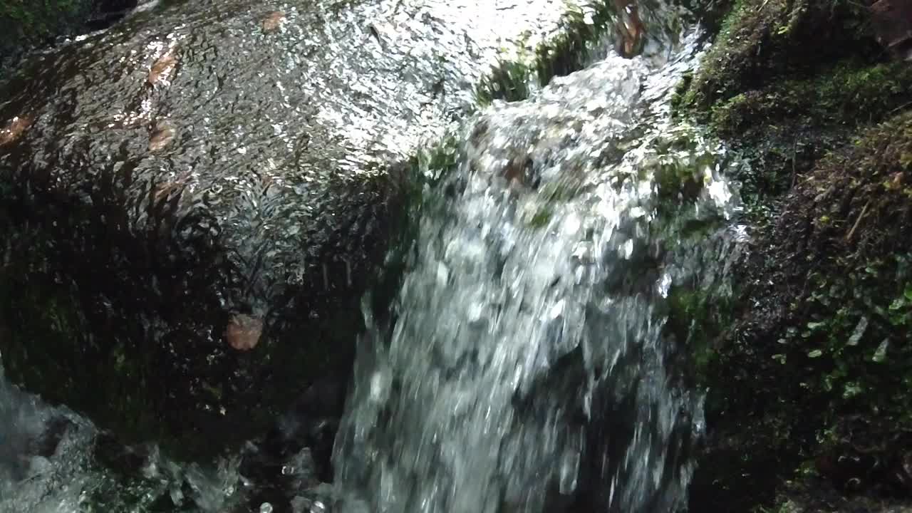 水从长满苔藓的石头上倾泻而下视频下载