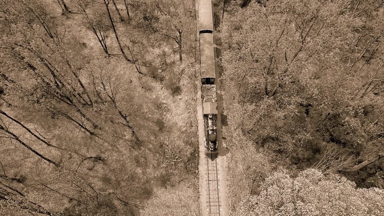 黑白鸟瞰图的一个1860年的蒸汽客运火车在一个树木繁茂的地区在一个孤独的单轨视频素材