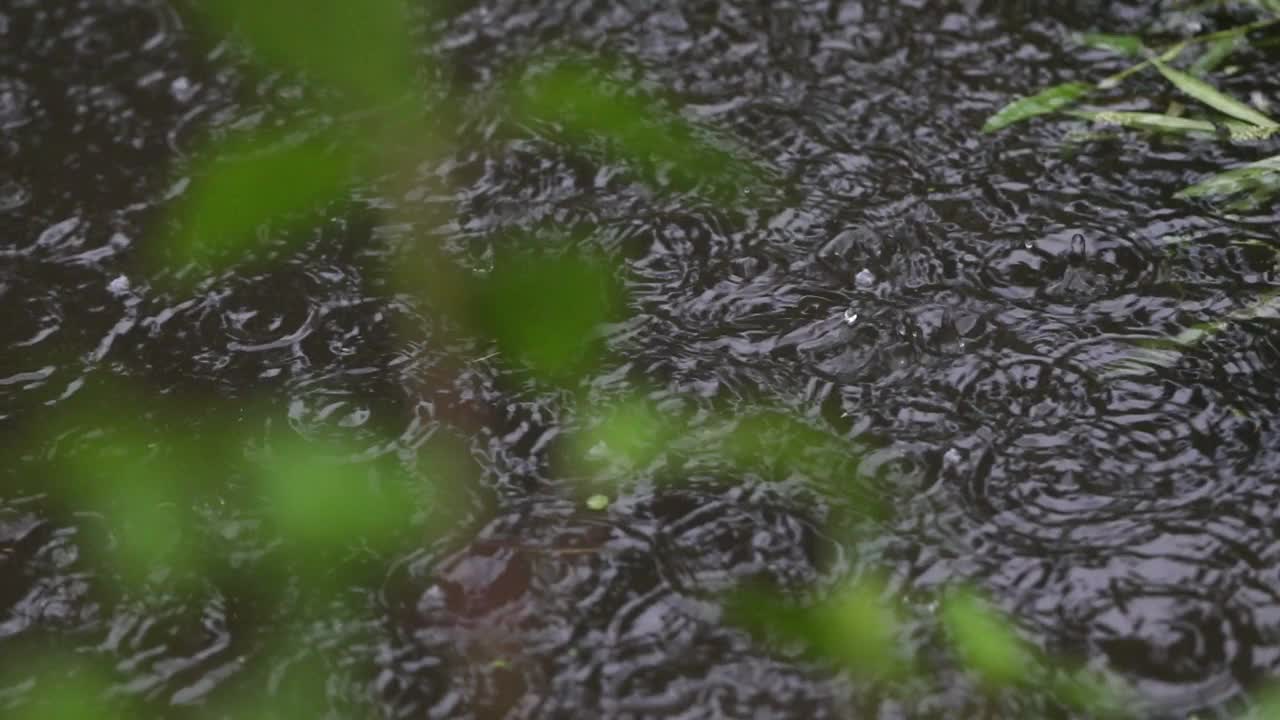 雨天的场景视频素材