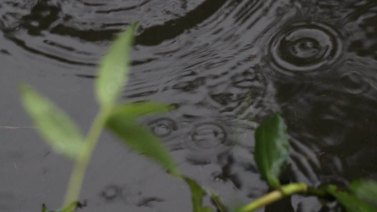 雨天的场景视频素材