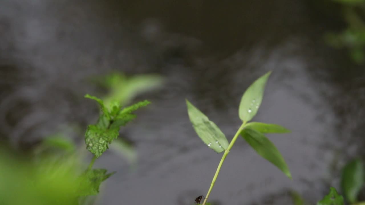 雨天的场景视频素材