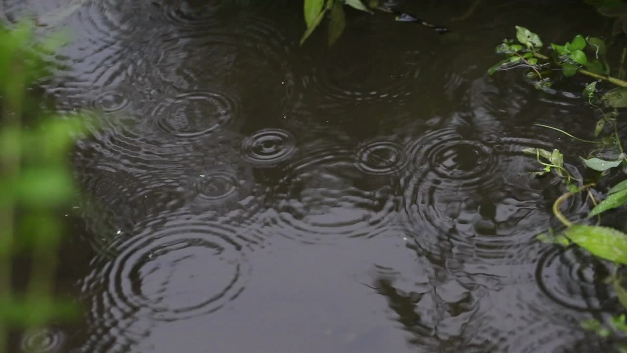 雨天的场景视频素材