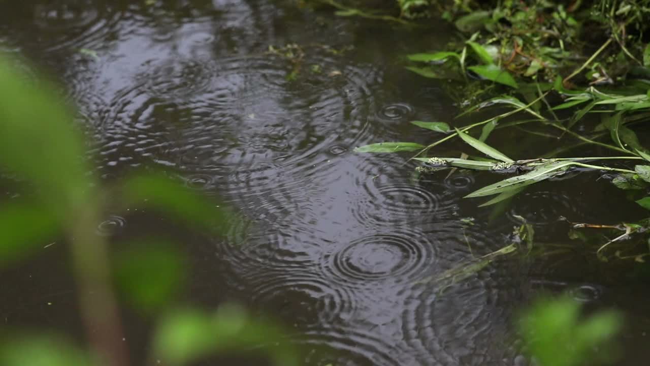 雨天的场景视频素材