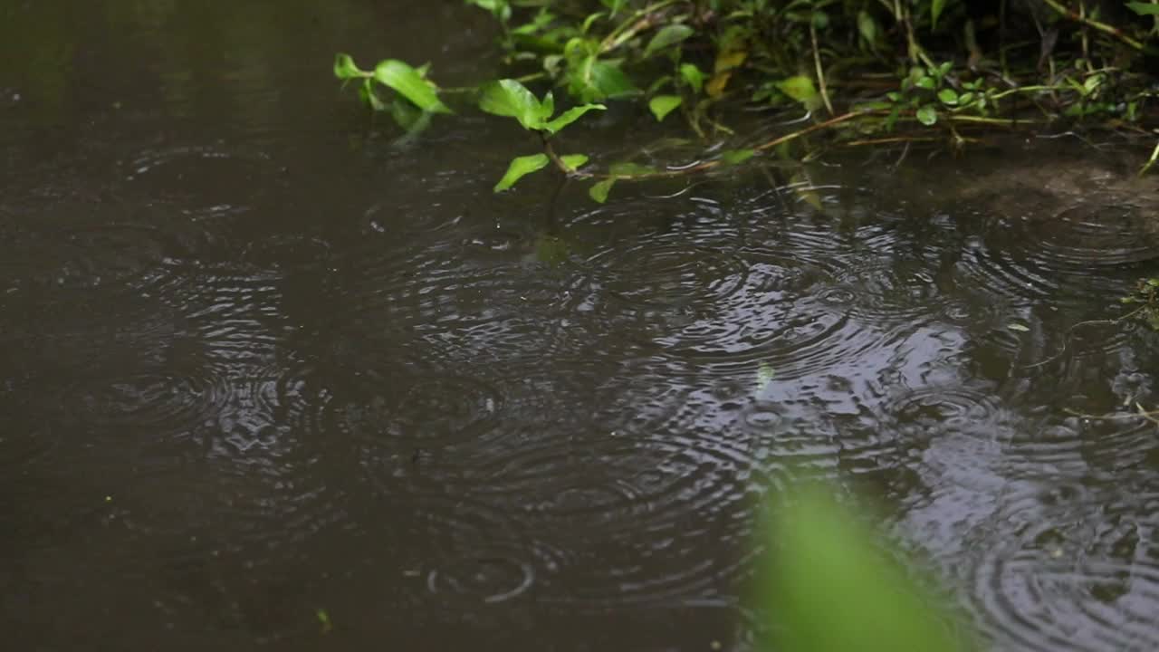 雨天的场景视频素材